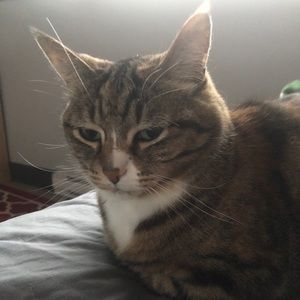 Meet your Posher, Leanne